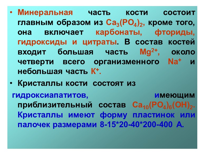 Минеральная часть кости состоит главным образом из Са3(РО4)2, кроме того, она включает карбонаты, фториды,